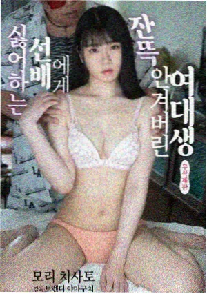 高地守望 高地电视剧全集免费观看